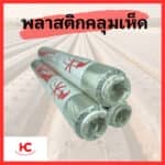 พลาสติก คลุมเห็ด พลาสติก LDPE ม้วน คลุมเห็ด